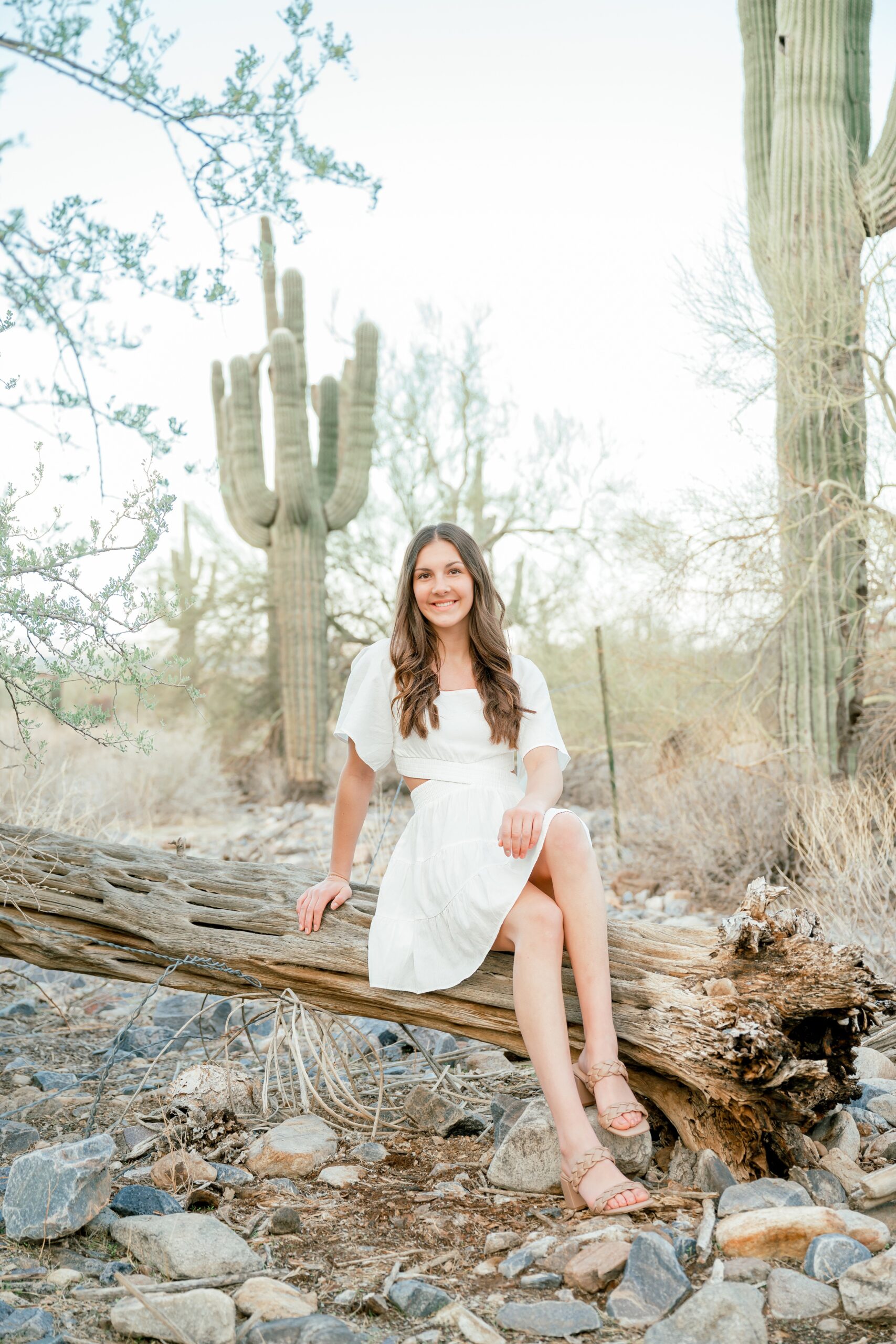 A smiling teenage girl in a white dress sitting on a fallen tree smiling after finding hair and makeup in scottsdale, az
